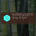suladyo.pro